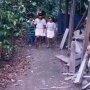 Enfants dans la forêt.